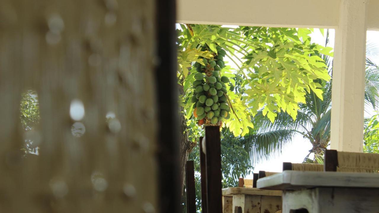 Casa De La Gente Nube Hotel Puerto Escondido  Exterior foto